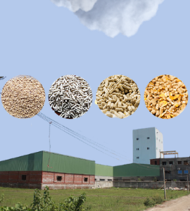 Feed & Agro