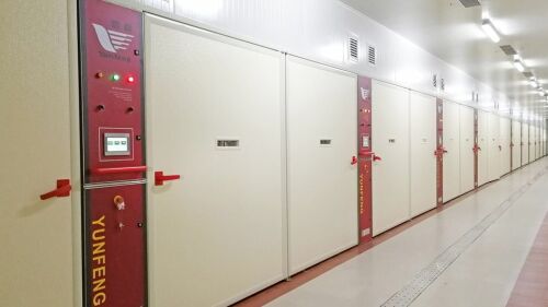 Yunfeng Incubator